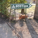 HERTSBERGE 002