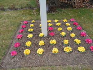 boezinge 003