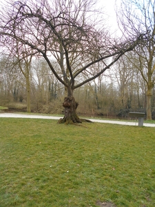 boezinge 024