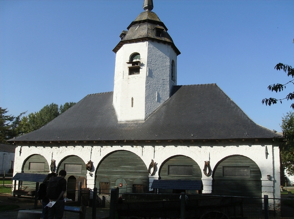 Pairi Daiza Oktober 2014 002