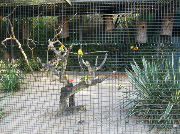 Pairi Daiza Oktober 2014 007