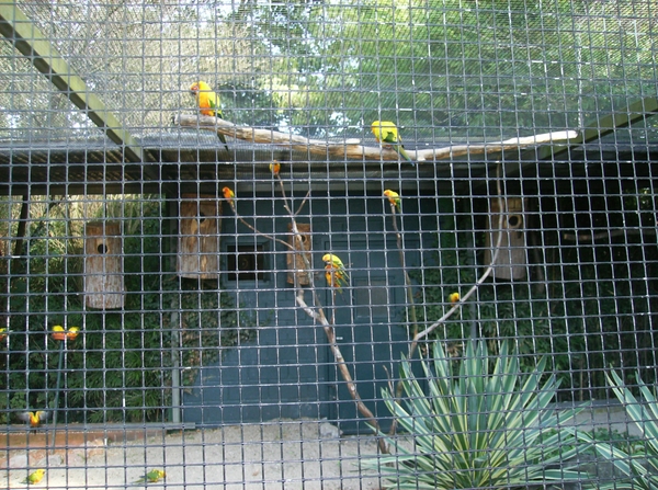 Pairi Daiza Oktober 2014 008