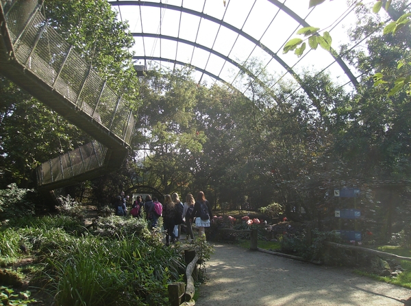 Pairi Daiza Oktober 2014 012