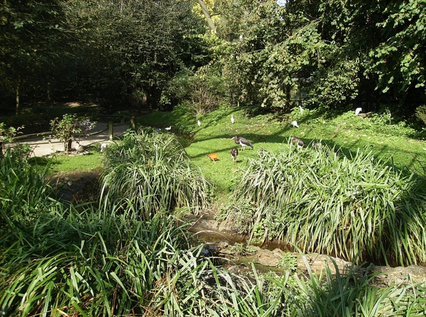 Pairi Daiza Oktober 2014 014