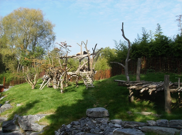 Pairi Daiza Oktober 2014 036