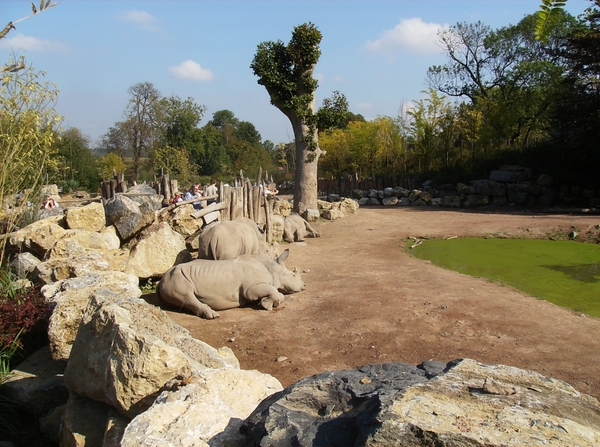 Pairi Daiza Oktober 2014 053