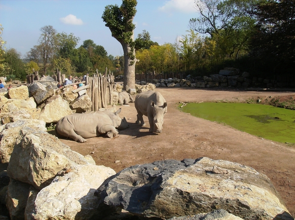 Pairi Daiza Oktober 2014 054