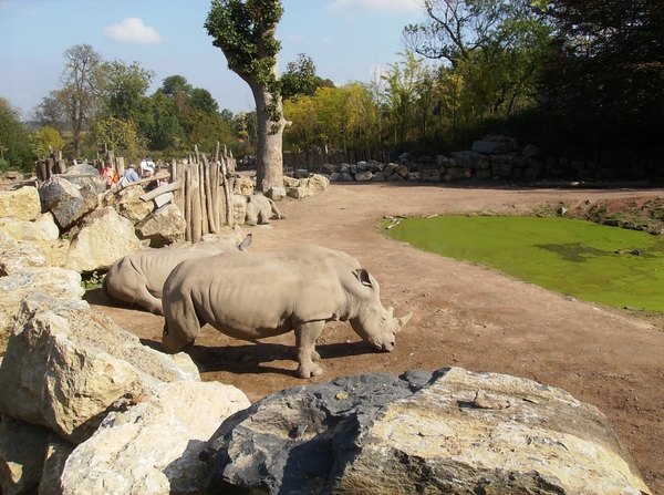 Pairi Daiza Oktober 2014 055