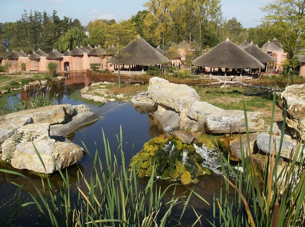 Pairi Daiza Oktober 2014 059