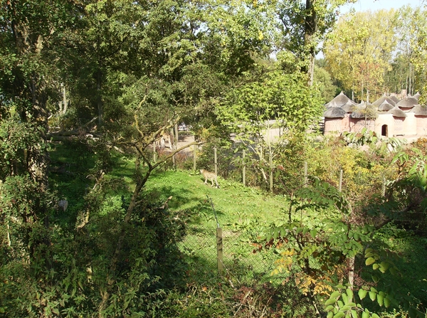 Pairi Daiza Oktober 2014 061