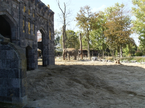 Pairi Daiza Oktober 2014 064