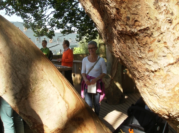 Pairi Daiza Oktober 2014 073