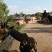 Pairi Daiza Oktober 2014 077