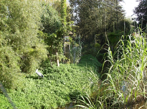 Pairi Daiza Oktober 2014 081