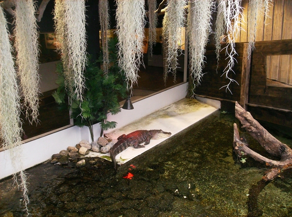 Pairi Daiza Oktober 2014 086