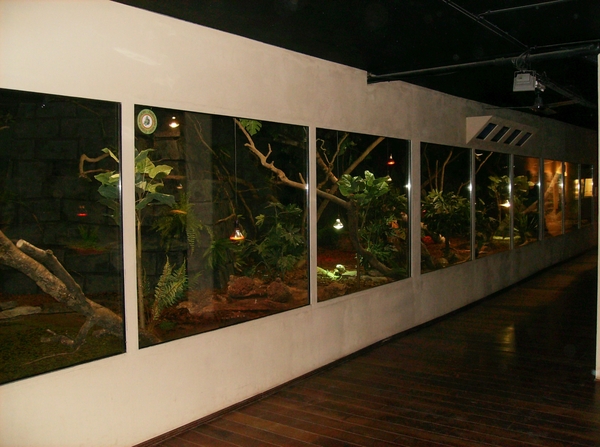 Pairi Daiza Oktober 2014 087