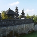 Pairi Daiza Oktober 2014 090