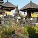 Pairi Daiza Oktober 2014 091