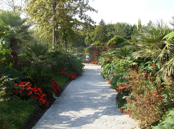 Pairi Daiza Oktober 2014 101