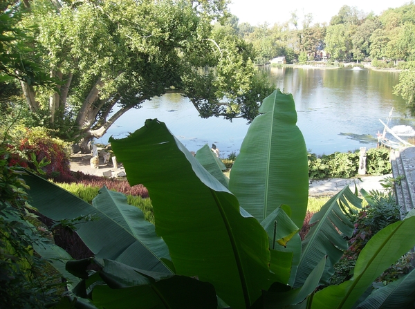 Pairi Daiza Oktober 2014 105