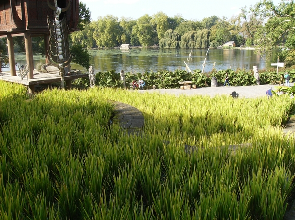 Pairi Daiza Oktober 2014 106