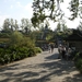 Pairi Daiza Oktober 2014 107