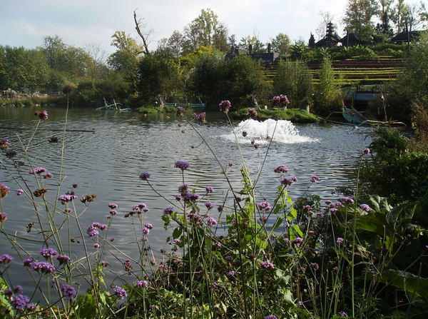 Pairi Daiza Oktober 2014 108