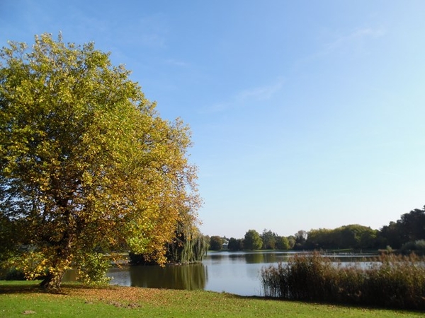 33-Park van Tervuren