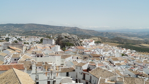 DSC01196