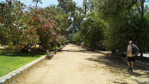 DSC01205