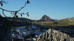 DSC01229