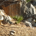 DSC01235