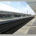 sized_P1110524