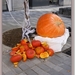 sized_P1110561