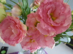 SAM_0486