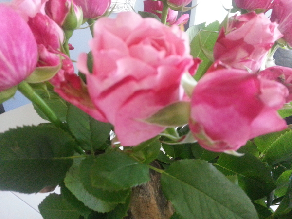 20140724_130045