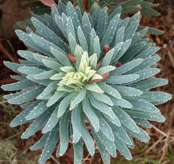 Corsica 2014 176