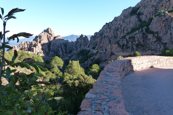 Corsica 2014 220