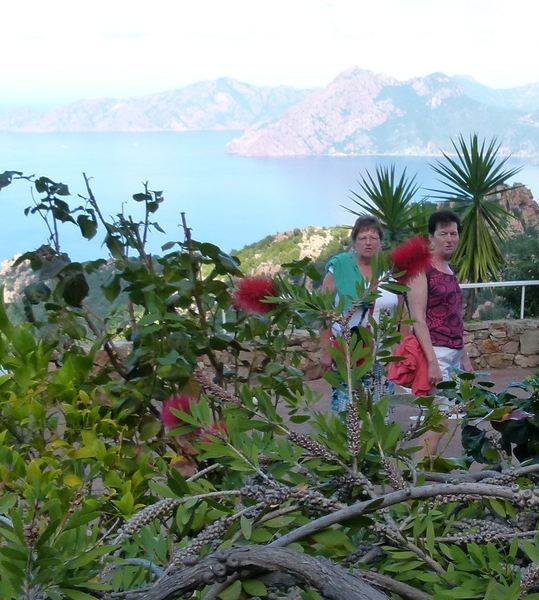 Corsica 2014 257