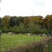 141019 ST MICHIELS 010