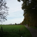 141026 BOIS DE VILLERS 002