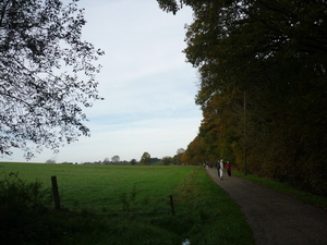 141026 BOIS DE VILLERS 002