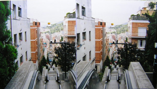 P1010005