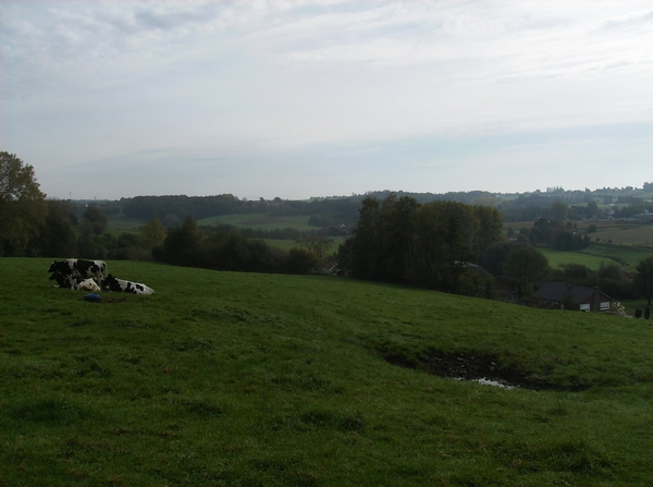 Ronse Plusdag Oktober 2014 033