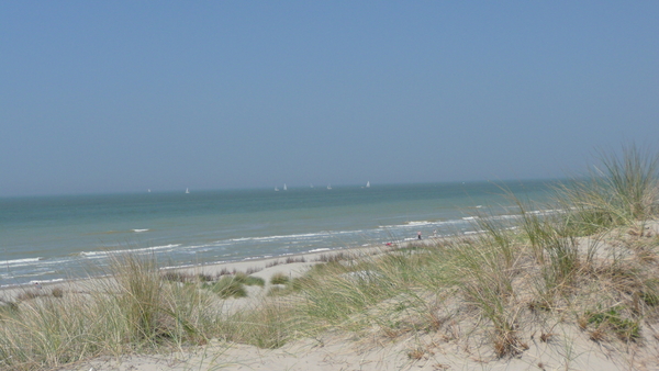 gras ,zee ;zand ,duinen