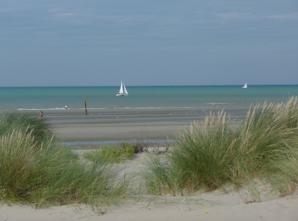 zeilboot,zee,water,zeegras,zand,