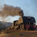 Goederentrein met stoomlocomotief NRZ 5A 414 (Garratt)