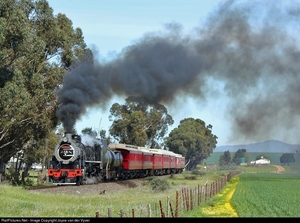 Western Cape, Zuid Afrika