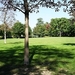 panorama-sandra