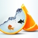 vis in fruit